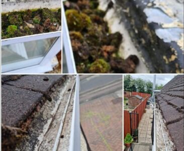 We not only empty your gutters but we clean them too, we provide the full service, this can also help prevent wear on your guttering.